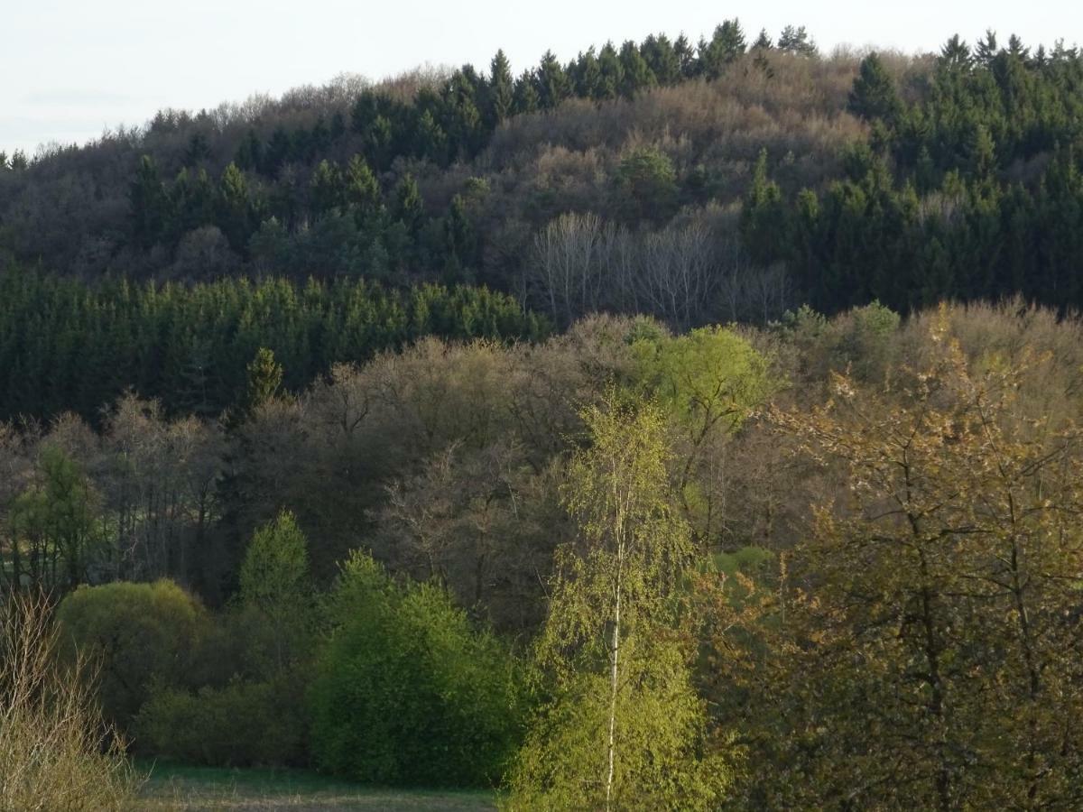 Appartement Haus Am Sonnenberg Ulmen
